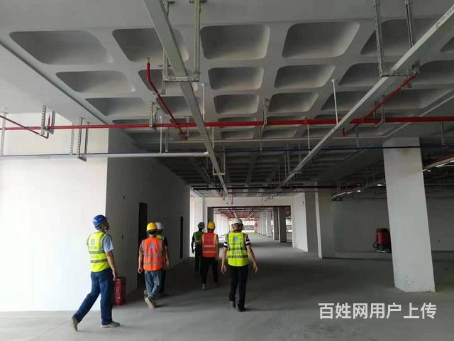 电子工程 连接现实与未来的科技纽带