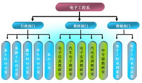 电子工程系组织机构概述